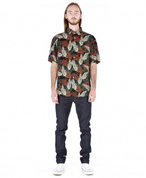 Printed Shirt