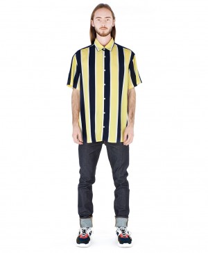 Striped Shirt