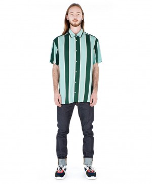 Striped Shirt